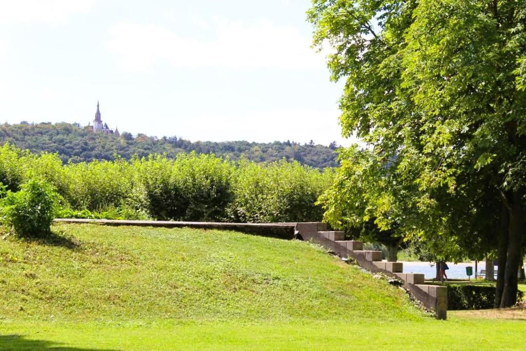 Top Rüdesheim nad Renem Zewnętrze zdjęcie